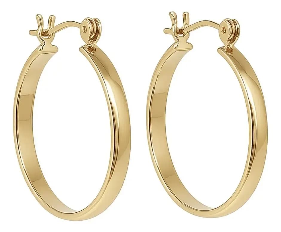 Brinco de Argola Lisa Banho Ouro Semijoia